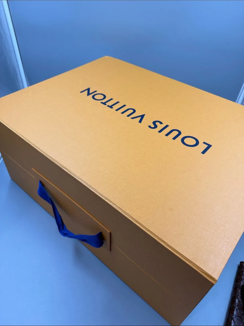 Louis Vuitton Empty XXL Gift Box with Handle